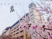等閑識得東風面，萬紫千紅總是春